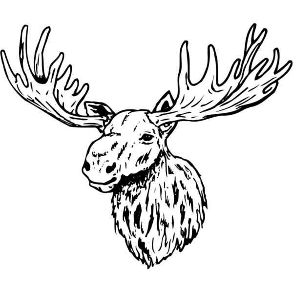 MOOSE001 Thumbnail