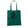 Bag for Life Long Handles Thumbnail